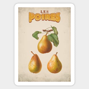 Old fruit poster - Pears - Vintage - retro Sticker